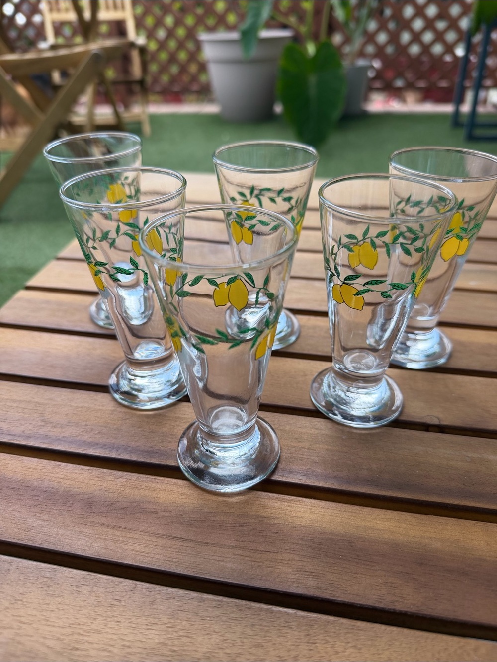 Lemon Footed Cordial Glasses Set of 6 Limoncello Aperitif